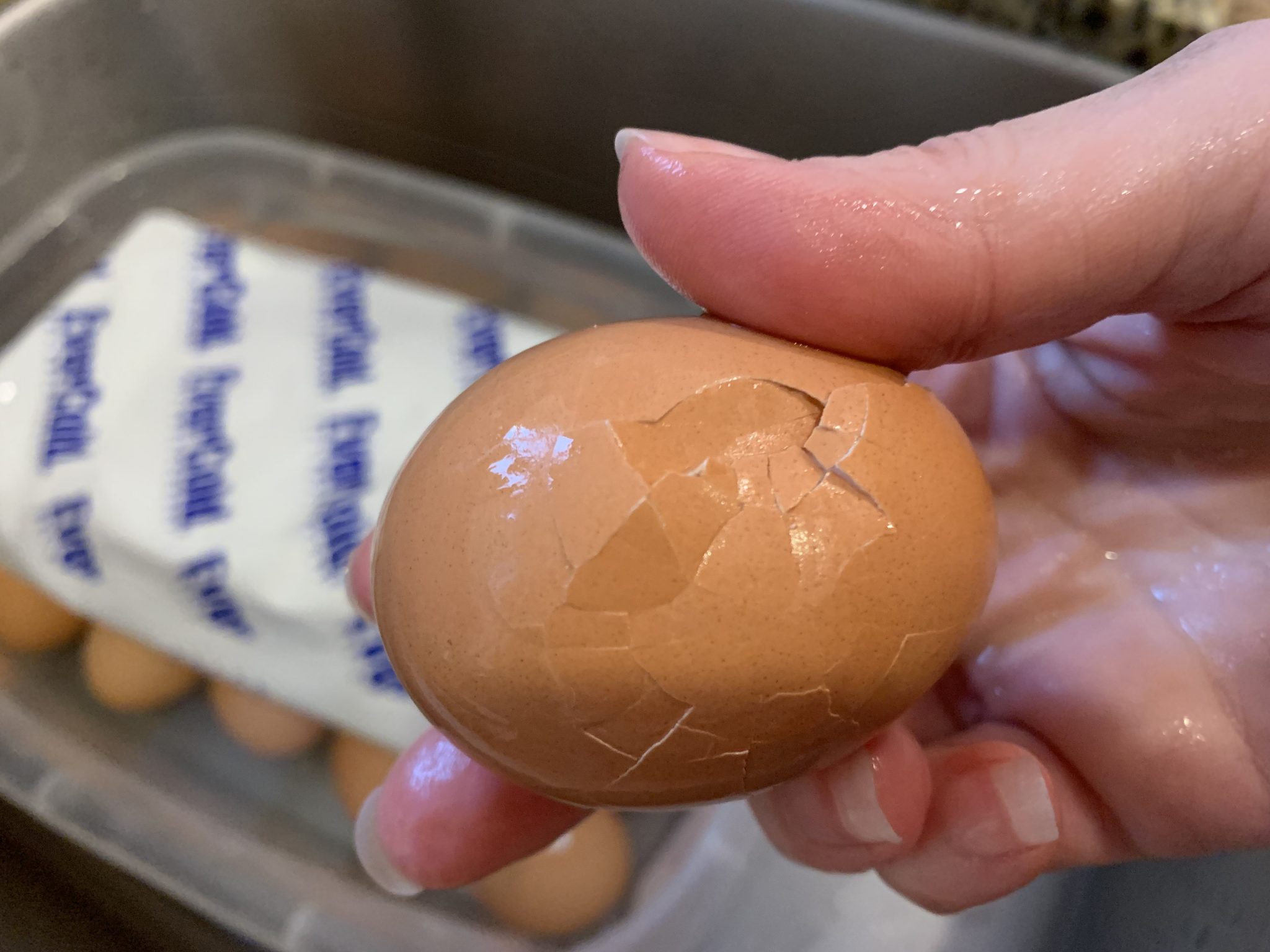 5-5-5 Eggs